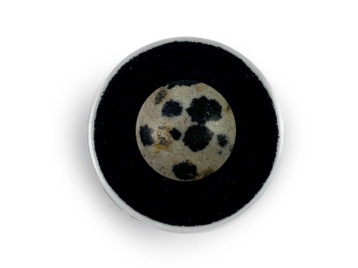 Cabujón de Jaspe Dálmata - cabujón pulido