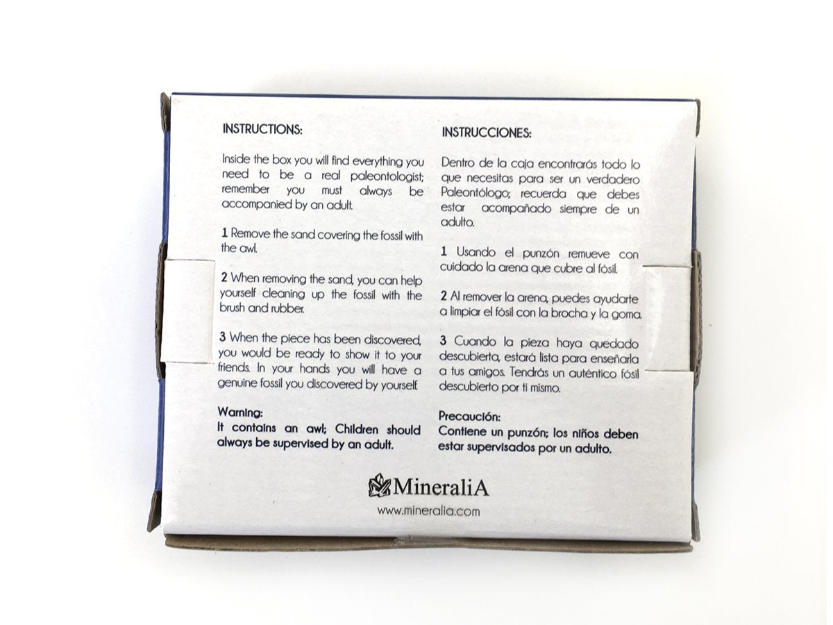 Diente De Tiburón Fósil Kit De Excavación - Vista 3 | MineraliA