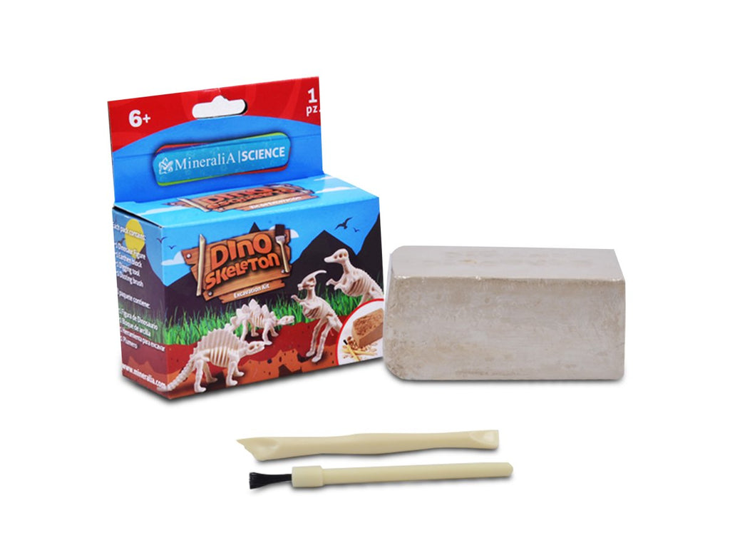 Esqueleto De Dinosaurio Por Descubrir Kit De Excavación - Vista 1 | MineraliA