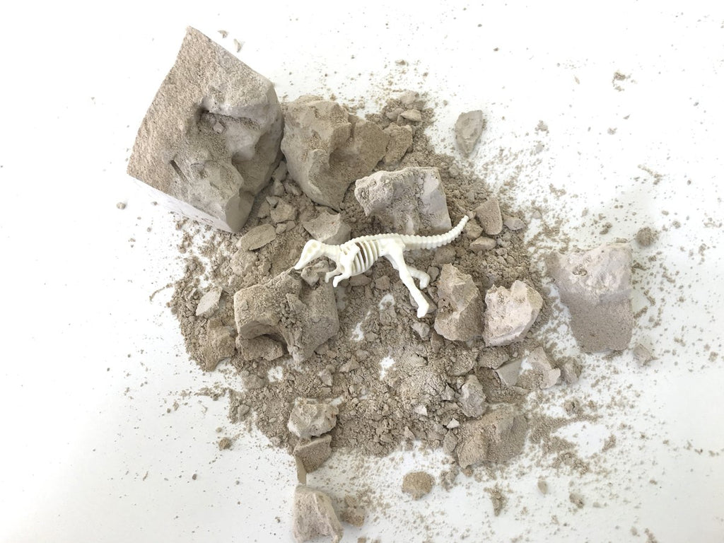 Esqueleto De Dinosaurio Por Descubrir Kit De Excavación - Vista 6 | MineraliA