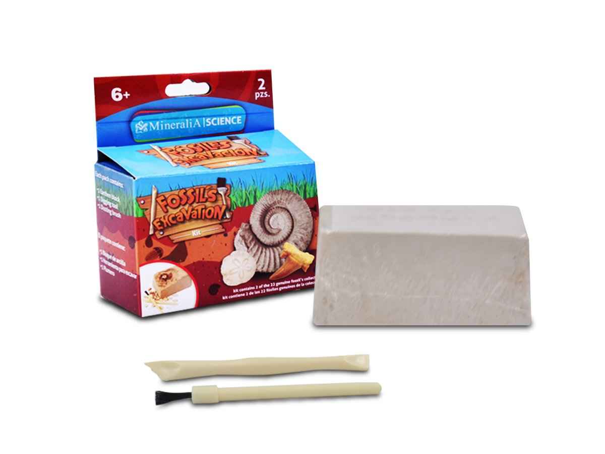 KIT FÓSIL POR DESCUBRIR