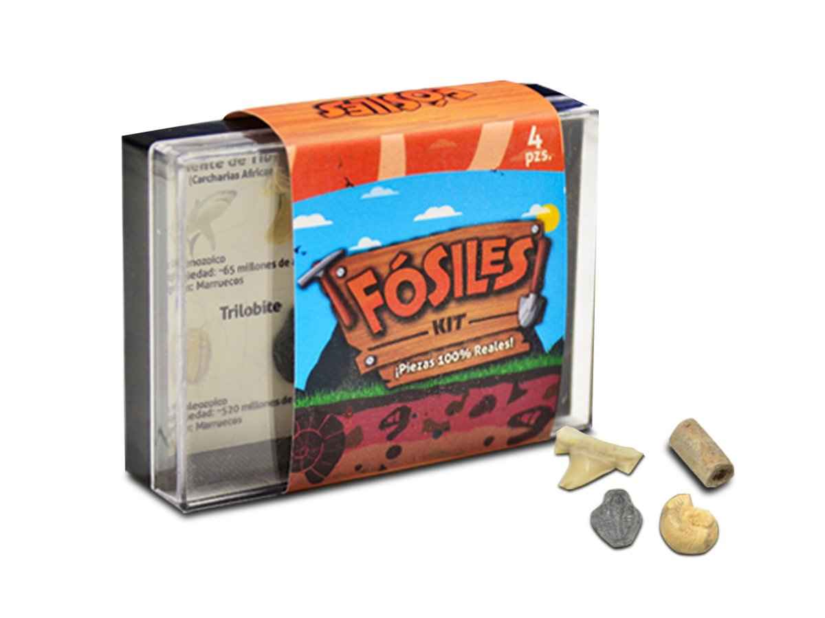 KIT COLECCIONABLE DE 4 FÓSILES