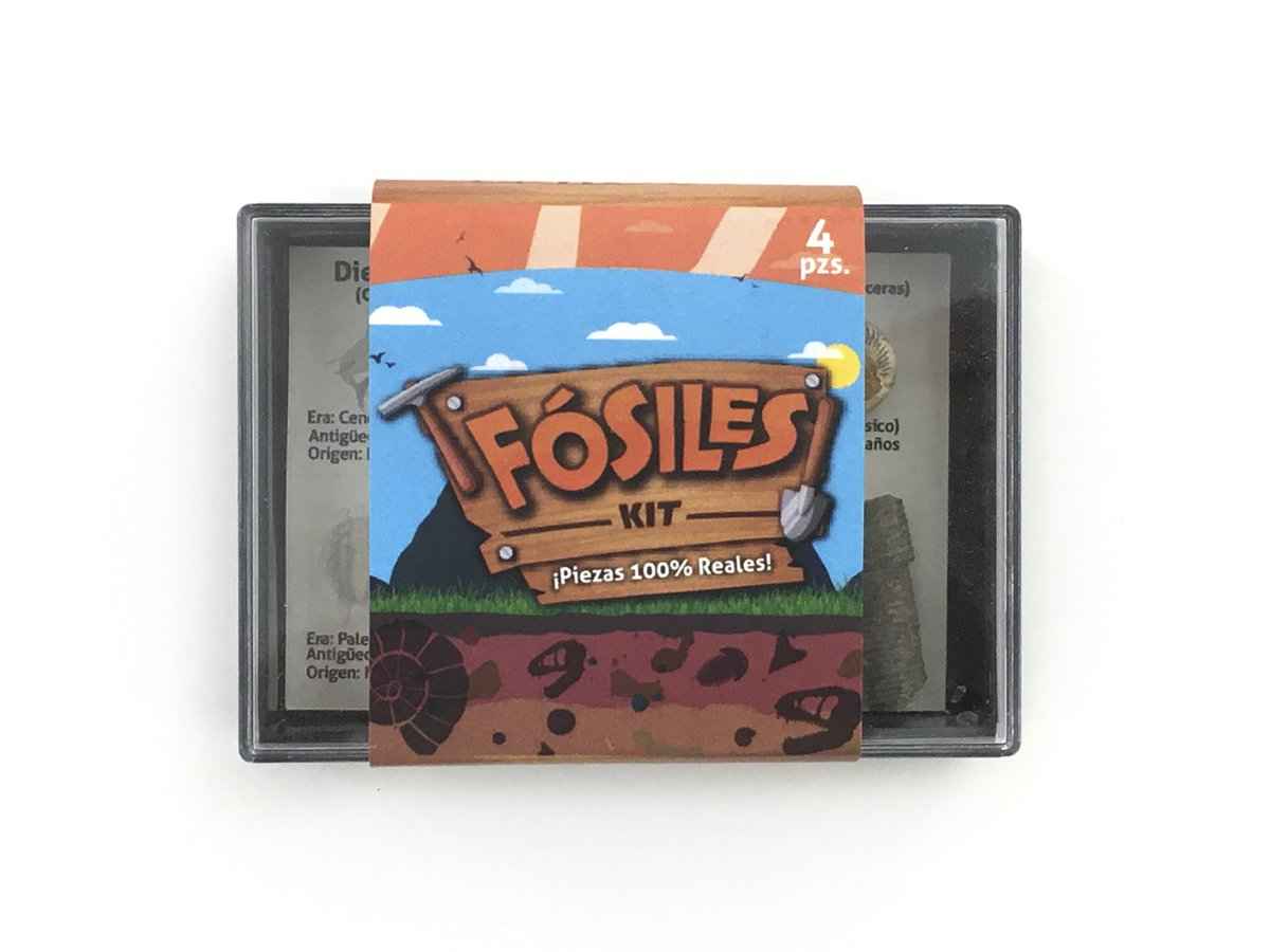KIT COLECCIONABLE DE 4 FÓSILES