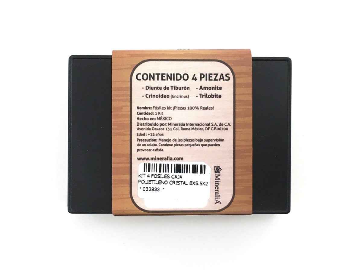 KIT COLECCIONABLE DE 4 FÓSILES