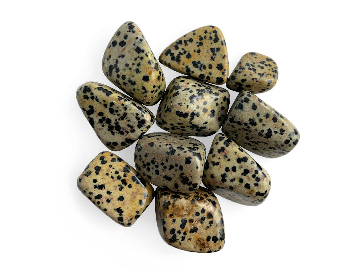 Paquete Tamborileado de Jaspe Dálmata Pulido - piedra pulida