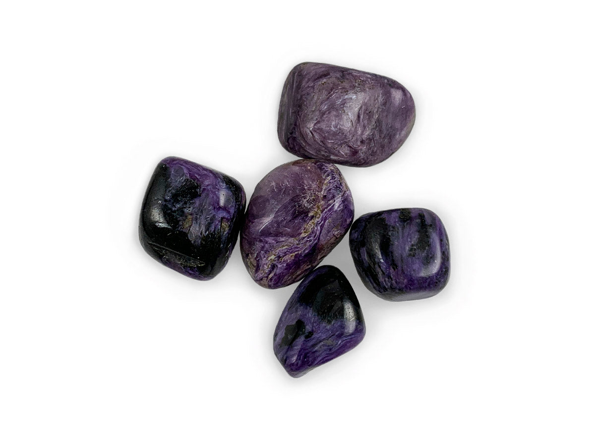Paquete de de Tamborileado de Charoita - pieza natural | Mineralia