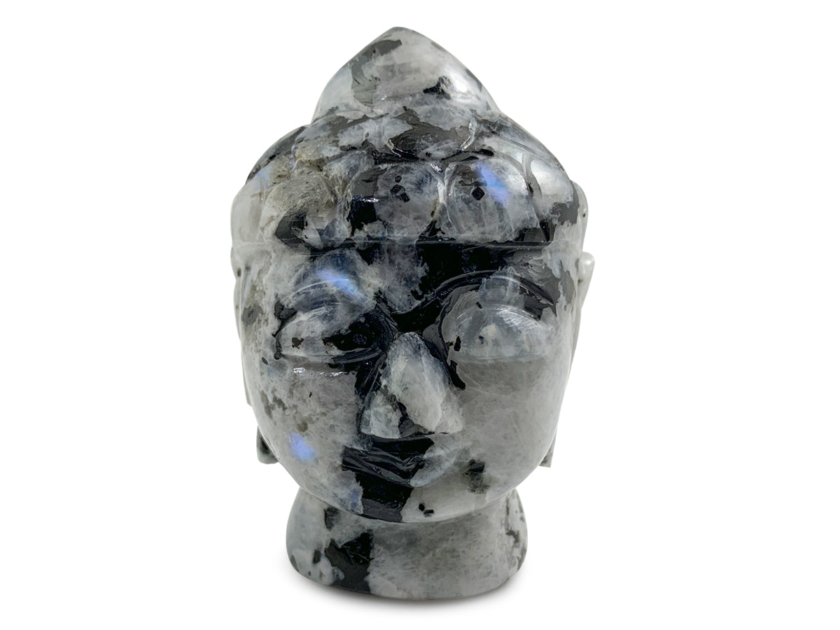 Cabeza de Buda de Piedra Luna - tallada en forma de luna