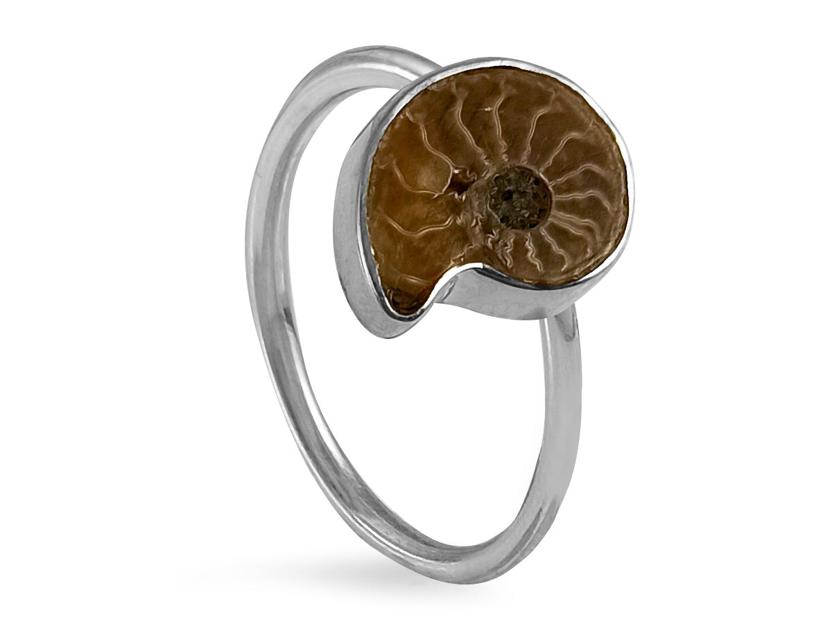 Anillo de Plata .925 Centro Amonite Fósil - anillo con piedra