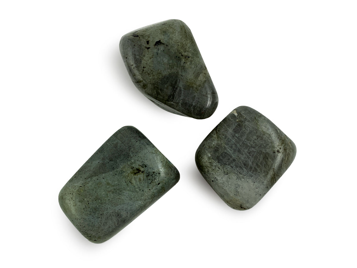 Paquete de de Tamborileado de Labradorita - pieza natural | Mineralia
