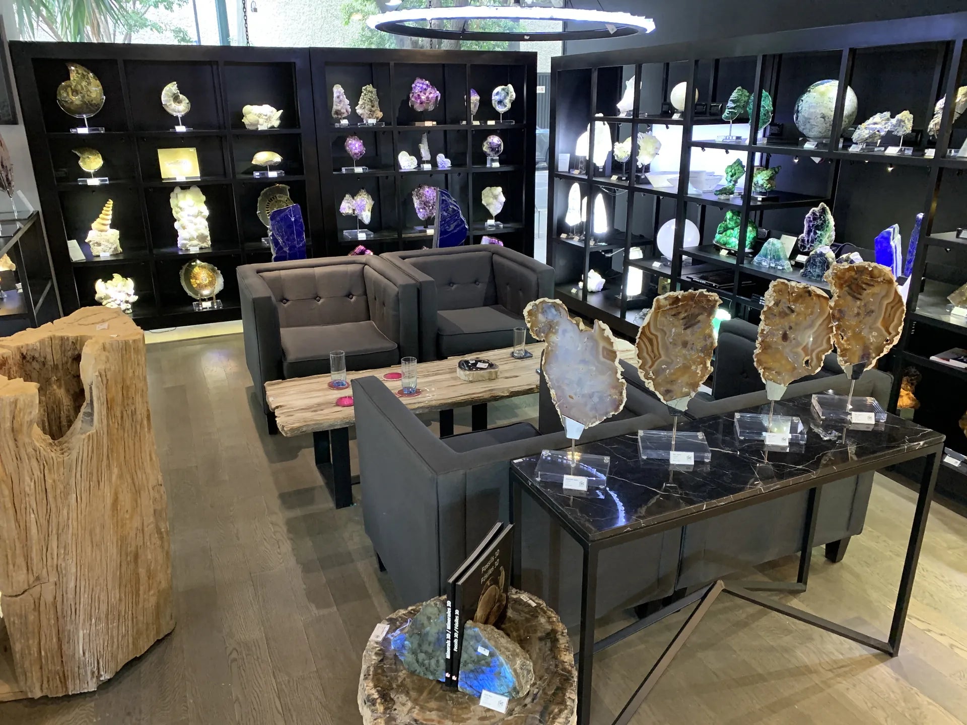 Salón de una tienda MineraliA con libreros de minerales