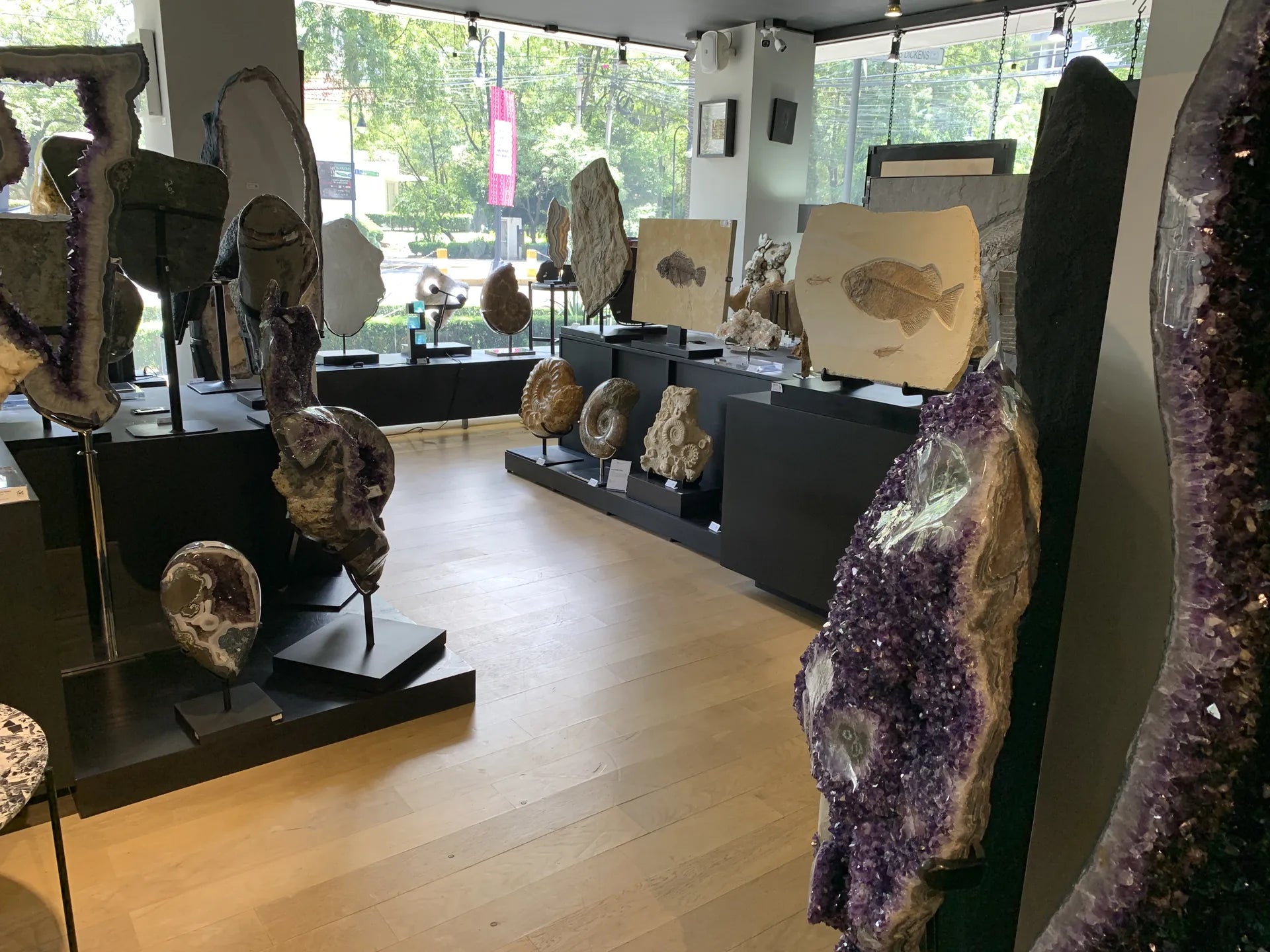 Tienda MineraliA con geodas y fósiles junto al ventanal