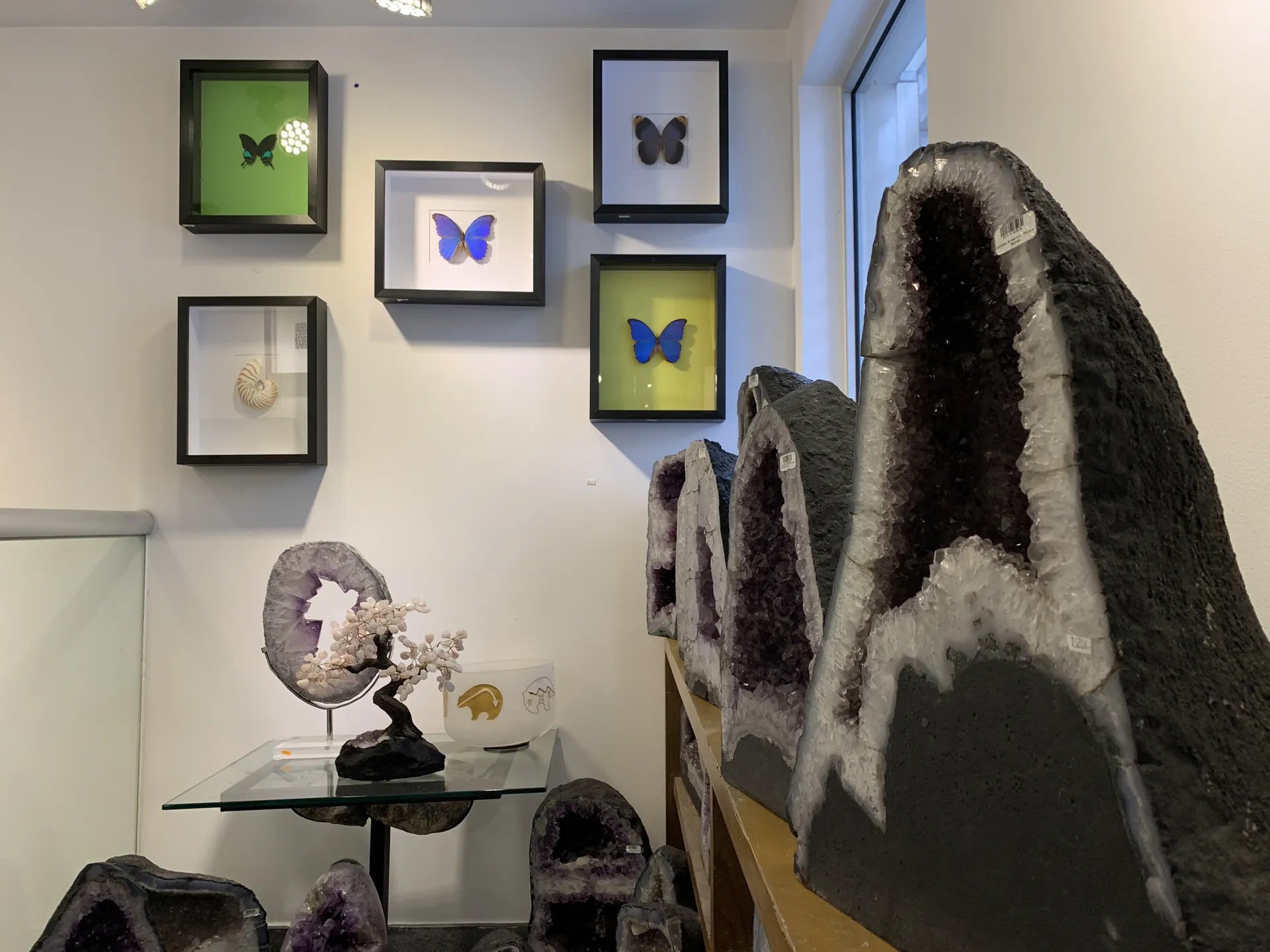 Geodas de amatista y cuadros de mariposas